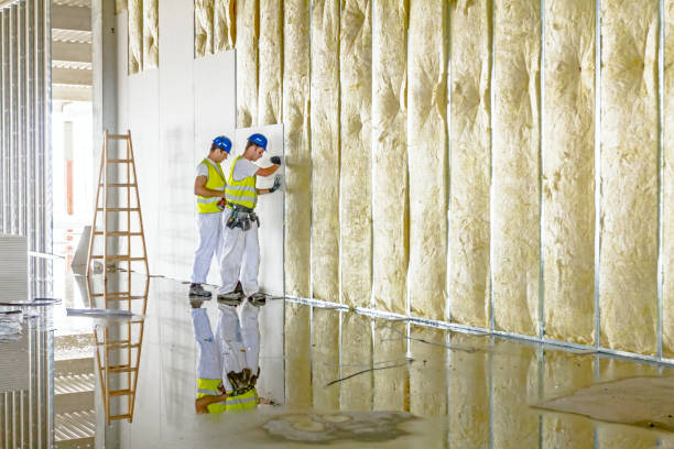 Types of Insulation We Offer in Capitan, NM